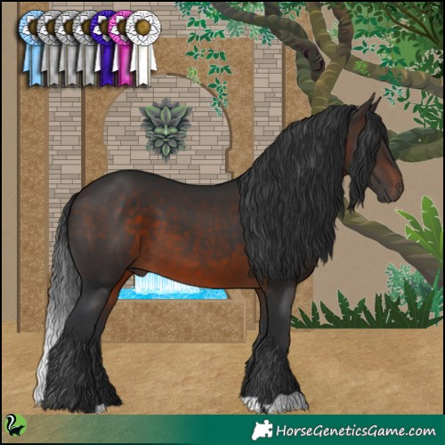 Horse Color:Brown 