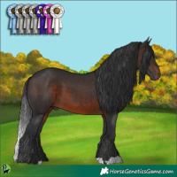 Horse Color:Brown 
