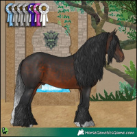Horse Color:Brown 