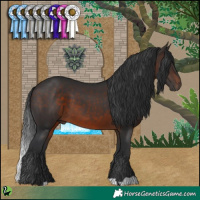 Horse Color:Brown 