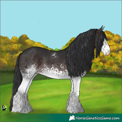 Horse Color:White Spotted Brown Rabicano 