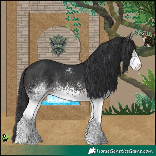 Horse Color:White Spotted Brown Rabicano