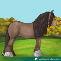 Horse Color:Classic Champagne