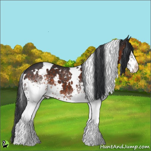 Horse Color:White Spotted Brown 
