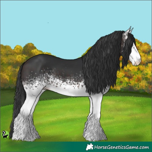 Horse Color:White Spotted Brown 