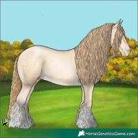 Horse Color:Sable Cream Champagne Pearl 