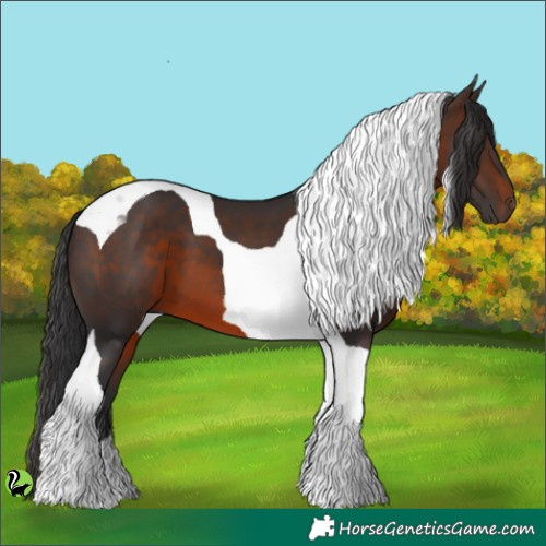 Horse Color:Brown Tobiano 