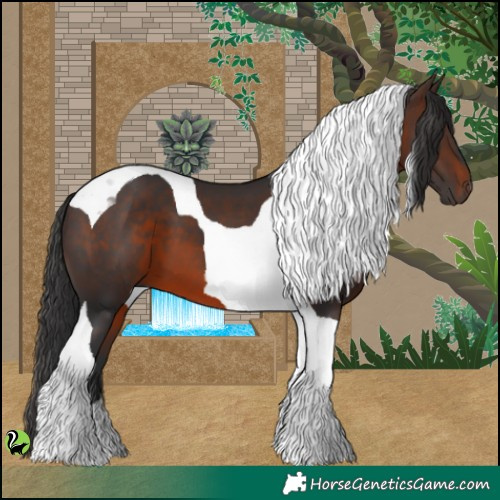 Horse Color:Brown Tobiano 