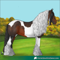Horse Color:Brown Tobiano 