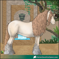 Horse Color:Classic Cream Champagne Pearl 