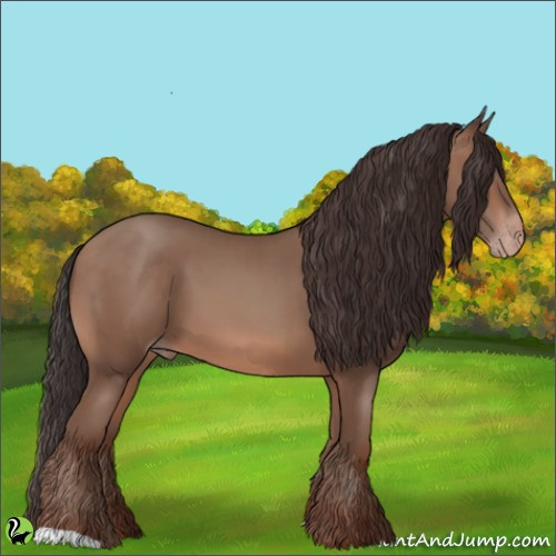 Horse Color:Sable Champagne 