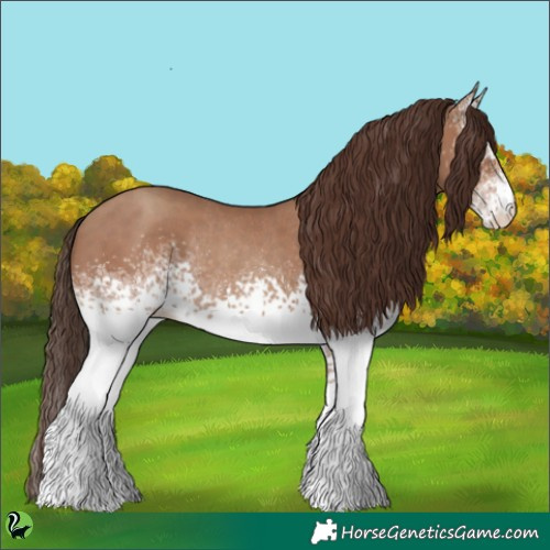 Horse Color:White Spotted Classic Champagne Rabicano 
