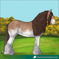 Horse Color:White Spotted Classic Champagne Rabicano