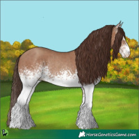 Horse Color:White Spotted Classic Champagne Rabicano 