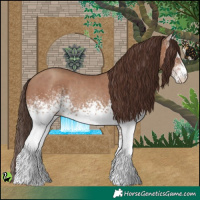 Horse Color:White Spotted Classic Champagne Rabicano 