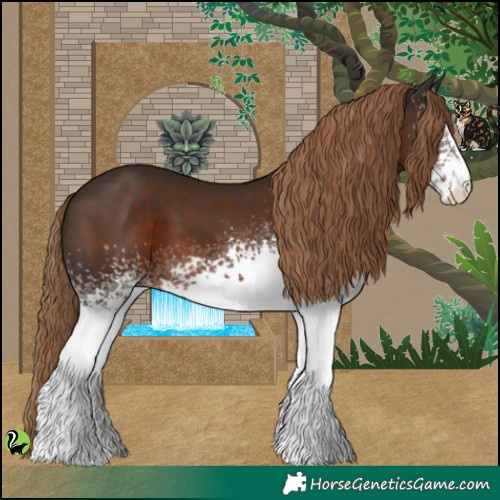 Horse Color:White Spotted Liver Chestnut 