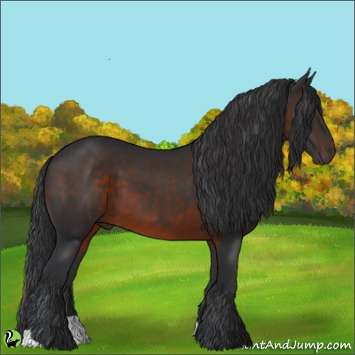 Horse Color:Brown 