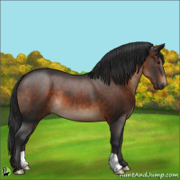 Horse Color:Brown 