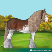 Horse Color:White Spotted Liver Chestnut