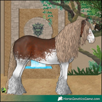 Horse Color:White Spotted Liver Chestnut 