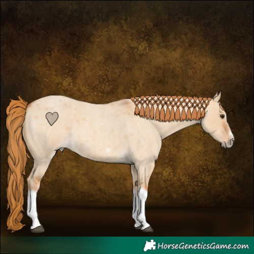 Horse Color:Red Dun Roan Splash Frame Rabicano