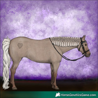 Horse Color:Silver Grullo Roan 