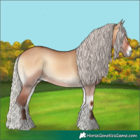 Horse Color:Silver Bay Onyx