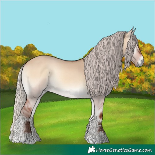Horse Color:Silver Bay Onyx
