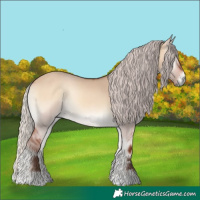 Horse Color:Silver Bay Onyx 