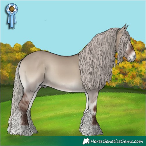 Horse Color:Silver Grullo Onyx