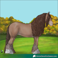 Horse Color:Classic Champagne 