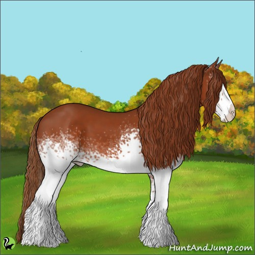 Horse Color:White Spotted Chestnut 