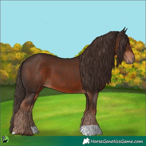 Horse Color:Liver Chestnut 