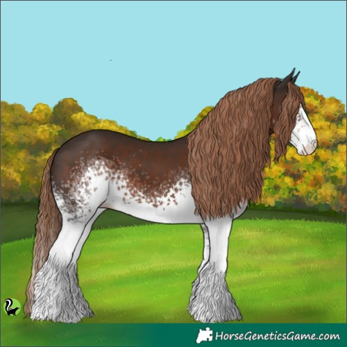 Horse Color:White Spotted Liver Chestnut 