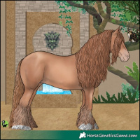 Horse Color:Gold Champagne 