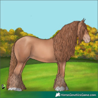 Horse Color:Gold Champagne 