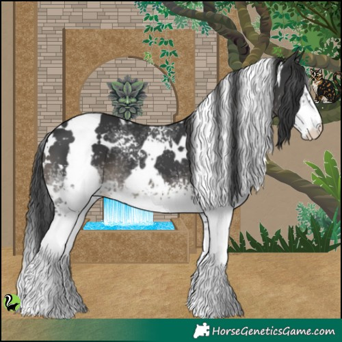 Horse Color:White Spotted Black