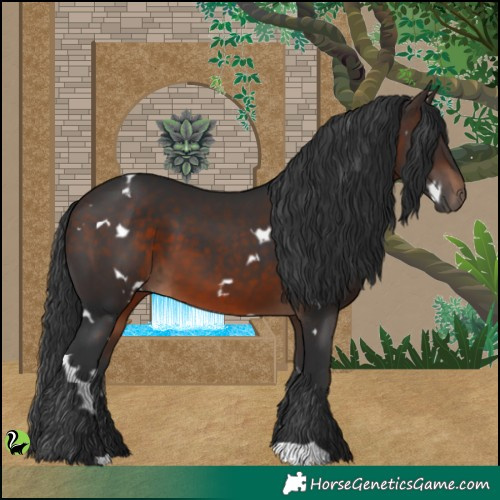 Horse Color:White Spotted Brown 