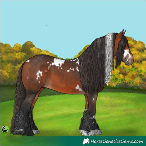 Horse Color:White Spotted Bay