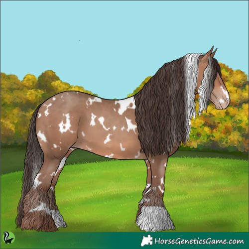 Horse Color:White Spotted Sable Champagne 