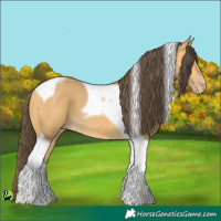 Horse Color:Amber Cream Champagne Tobiano 