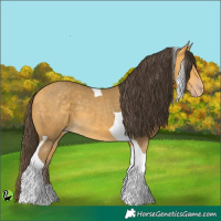 Horse Color:Amber Cream Champagne Tobiano 