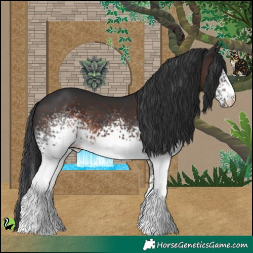 Horse Color:White Spotted Brown 