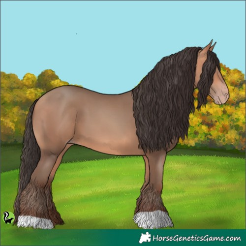 Horse Color:Amber Champagne 