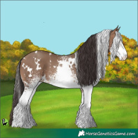 Horse Color:White Spotted Sable Champagne 
