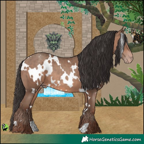 Horse Color:White Spotted Sable Champagne 