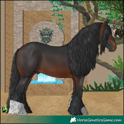 Horse Color:Brown 