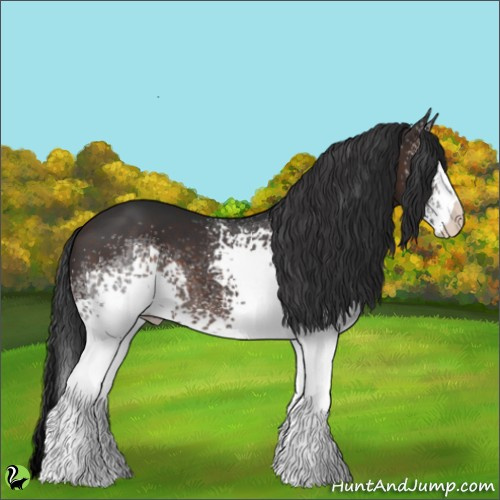 Horse Color:White Spotted Brown 
