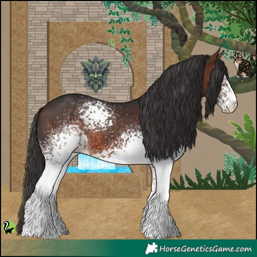 Horse Color:White Spotted Bay 