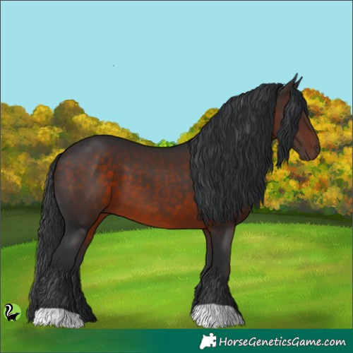 Horse Color:Brown 